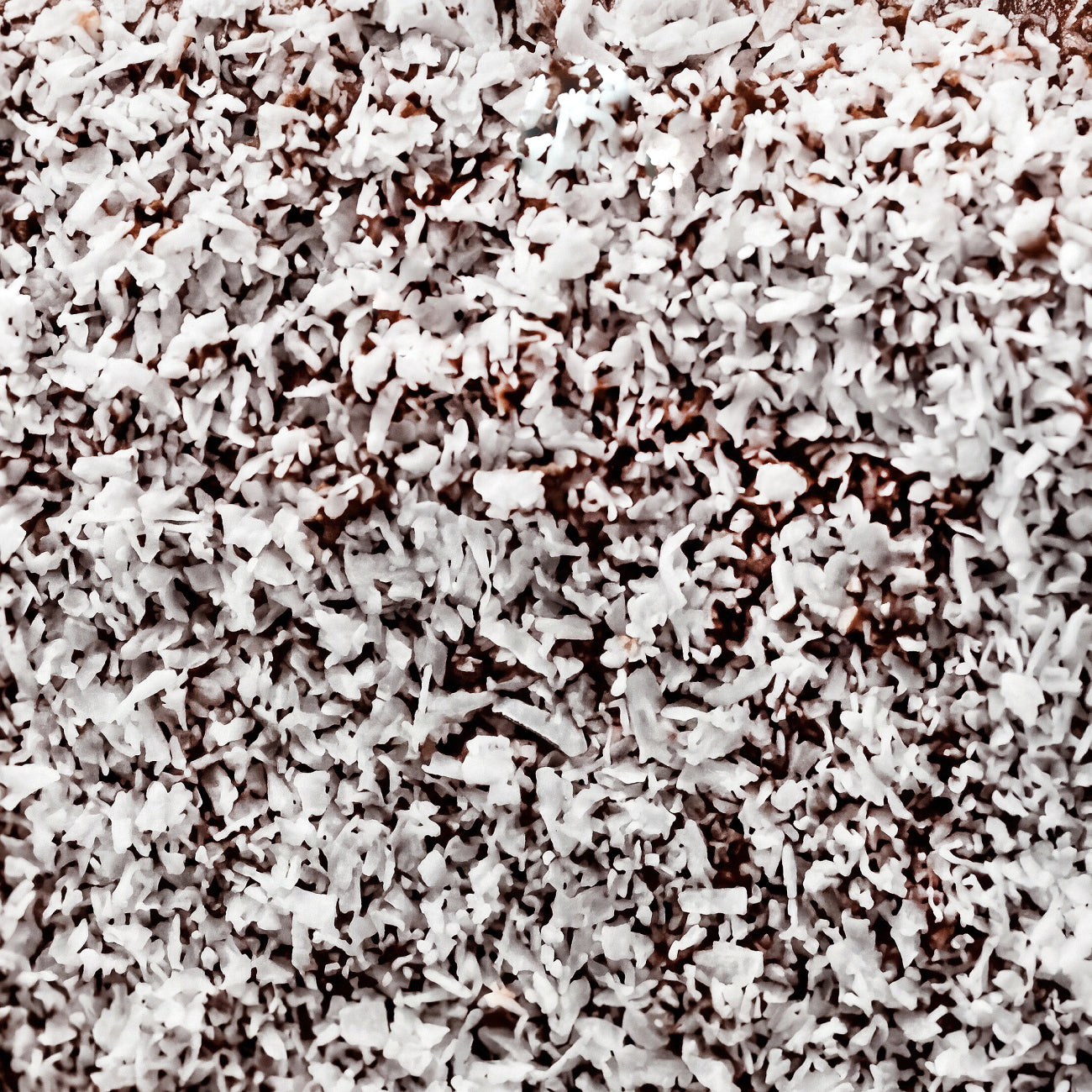 Lamington Clean Bar x 12